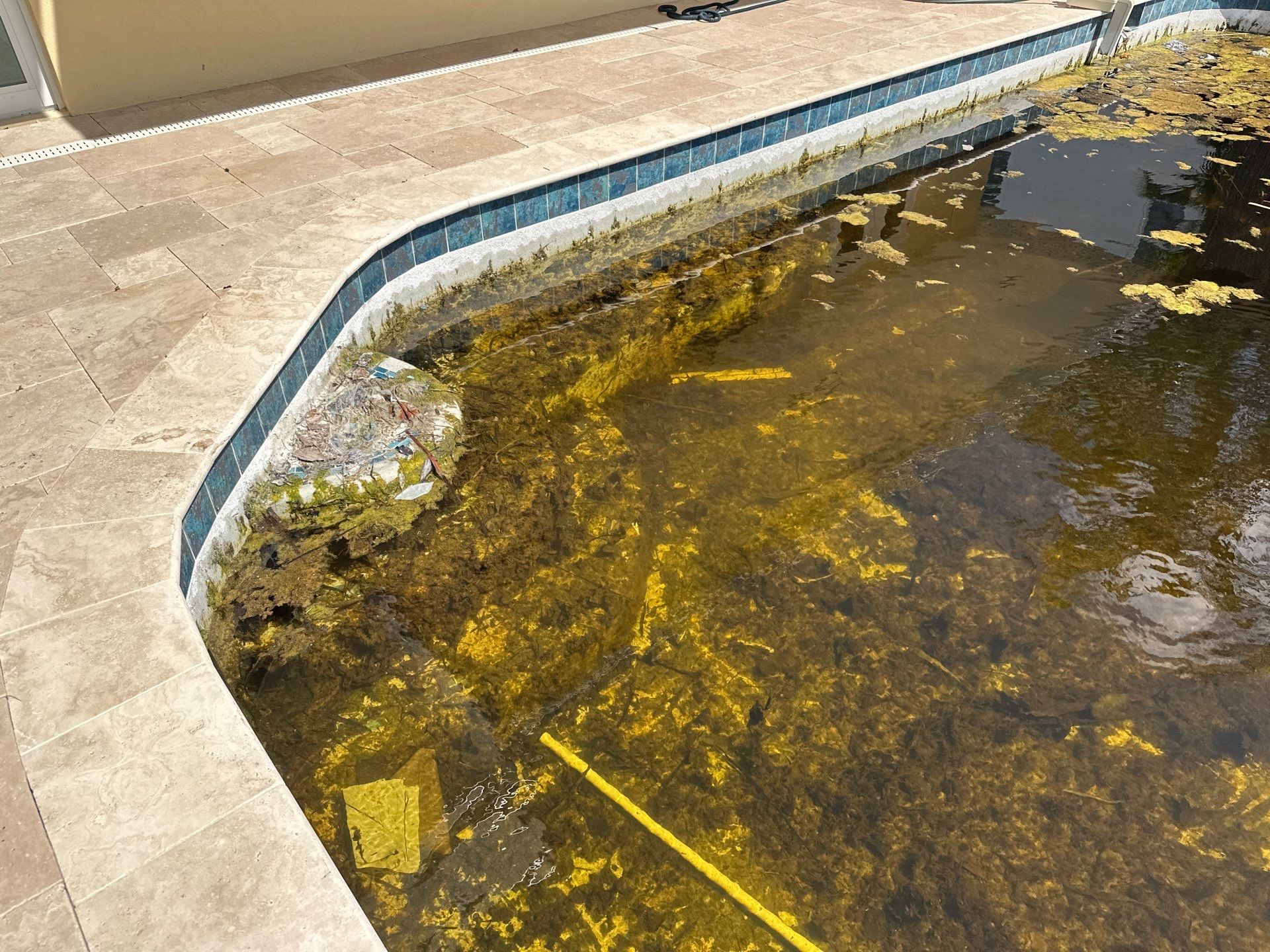 Before and after pool resurfacing in Holmes Beach FL with NPT Peacock and Marquis PMM Bluestone Quartz by Nelson Pool Company — after