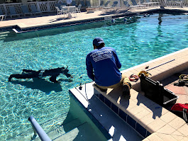 Nelson Pool Company diver inspecting a pool during leak detection